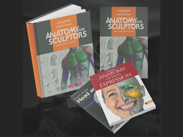Anatomy For Sculptors 