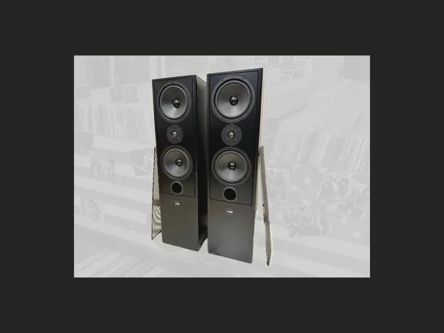 CANTON Fonum CS-5