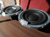 Woofer_(magnat_all_ribbon_5)